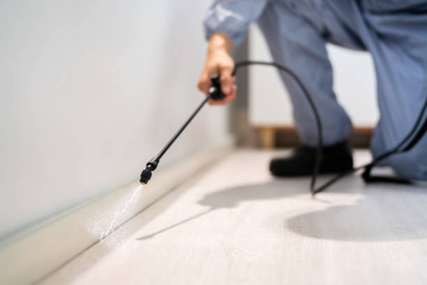 Professional exterminator conducting IPM assessment in Erwin
