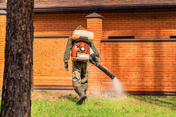 Top rated local Ant Control specialists in Erwin, TN